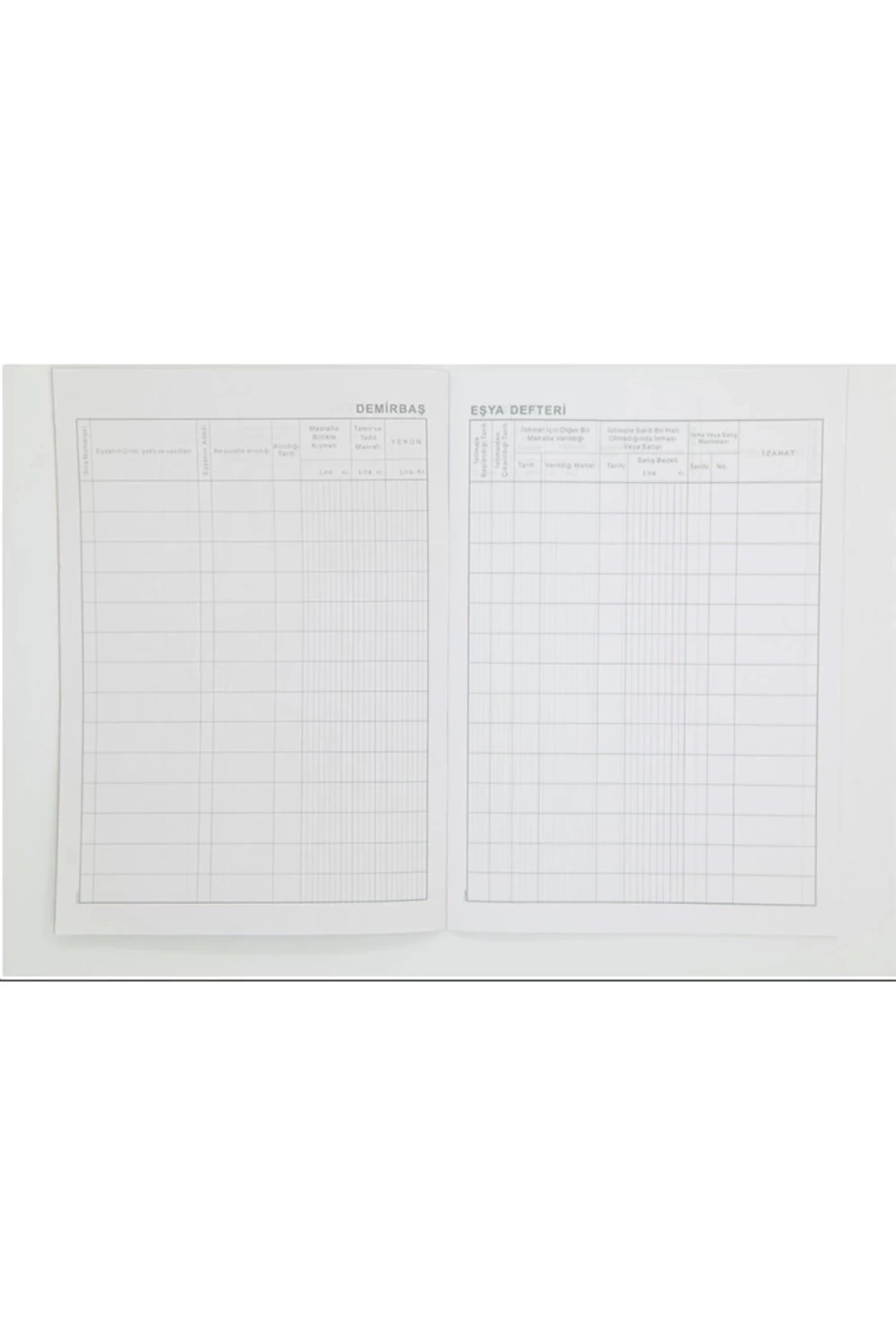 Dilman Demirbaş Eşya Defteri Karton Kapak 21,5x31,5 40 Yp