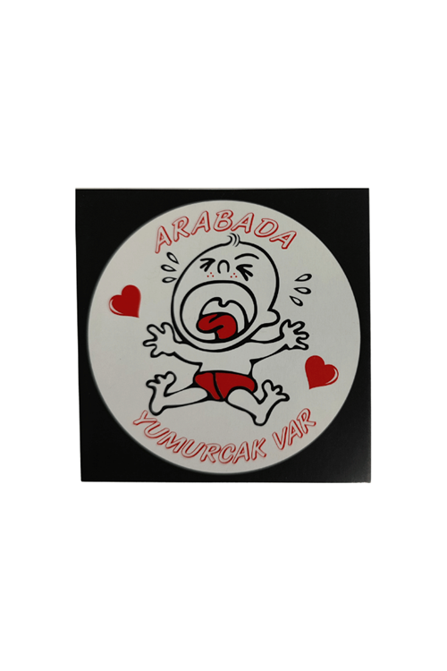 Araç Cam Çıkartma 15 (