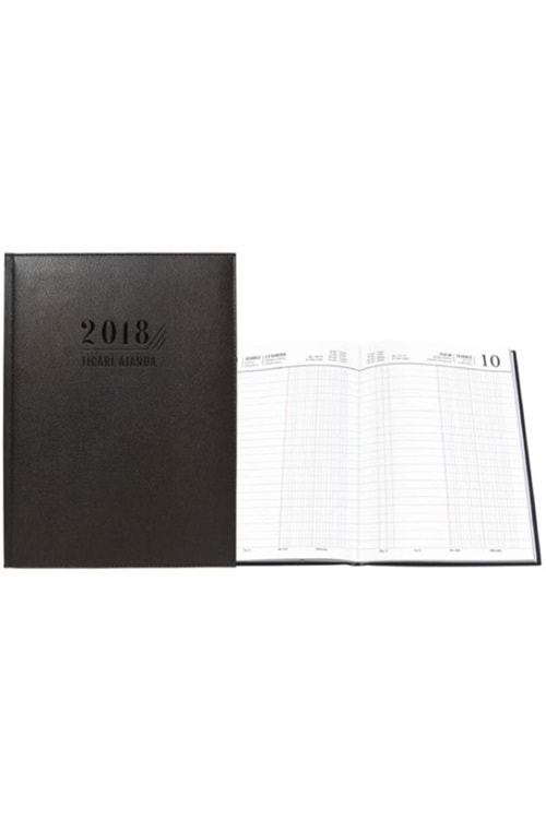 Liz 2026 Ticari Ajanda Thermo Deri 17x24 | Aj720