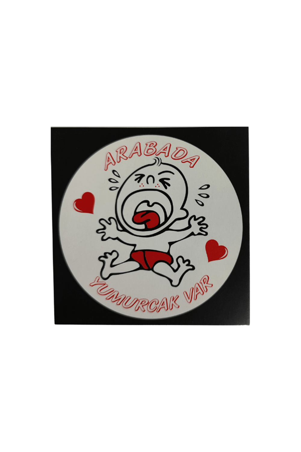 Araç Cam Çıkartma 15 (