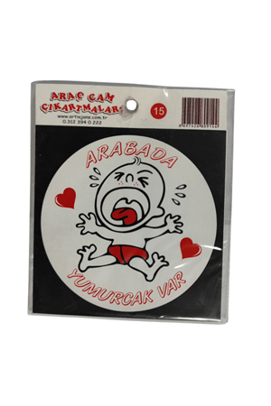 Araç Cam Çıkartma 15 (